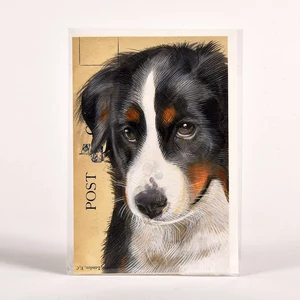 Dupla kártya borítékkal - Berni pásztorkutya 12x17,5 cm