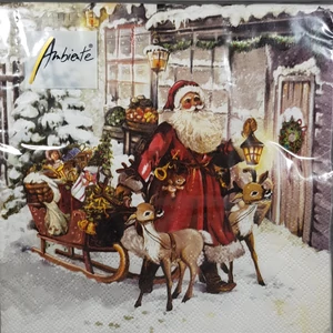 Christmas Visit - Papírszalvéta