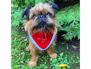 Állatos üvegdíszek