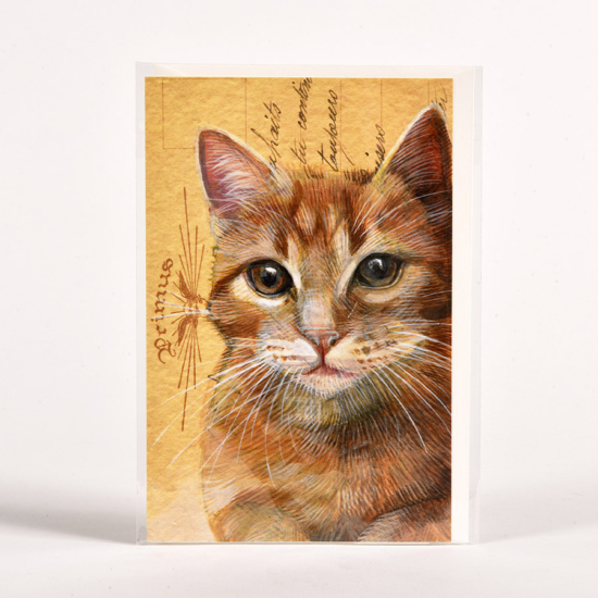 Dupla kártya borítékkal - Macska vörös 12x17,5 cm