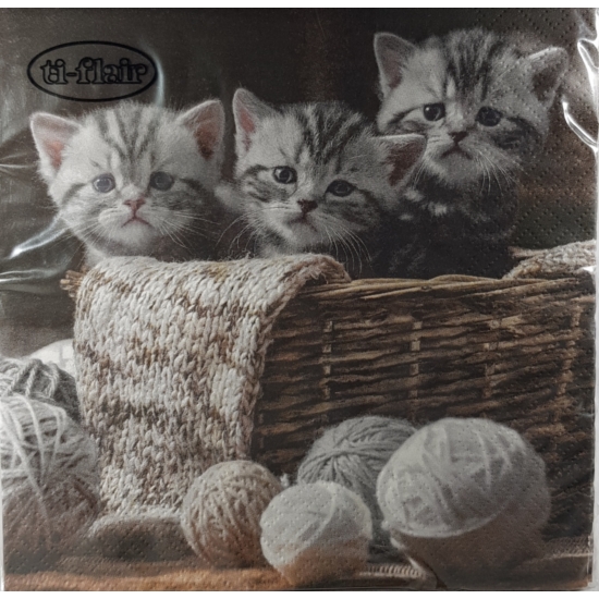 Striped Kittens - Papírszalvéta